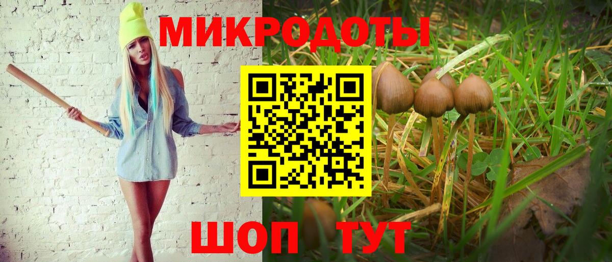 Галлюциногенные грибы Psilocybe  Вход с VPN  Псилоцибиновые грибы GOLDEN TEACHER  даркнет сайт  Кыштым 